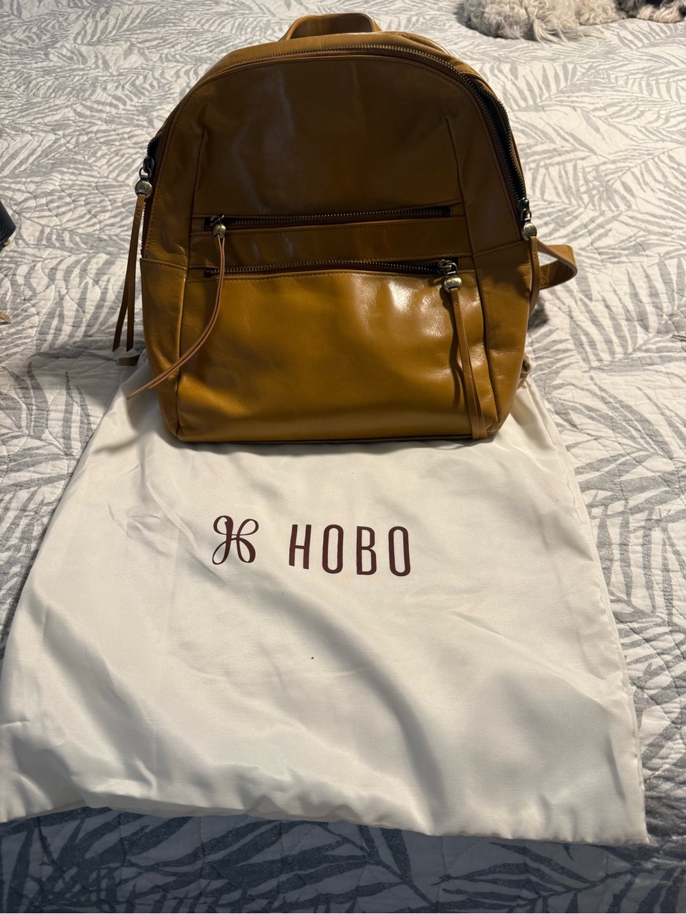 HOBO Leather Backpack in Honey Tan
